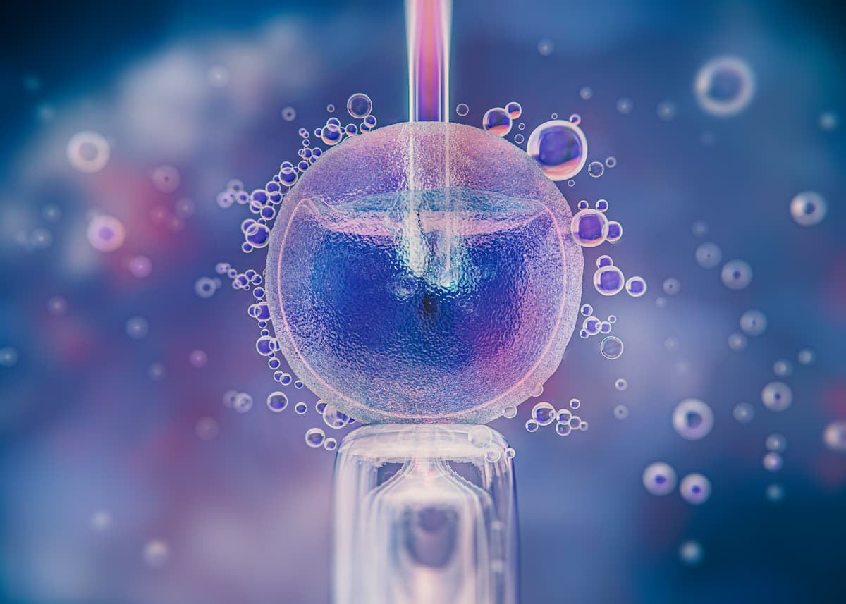 Ilustračný obrázok. Foto: Freepik.com