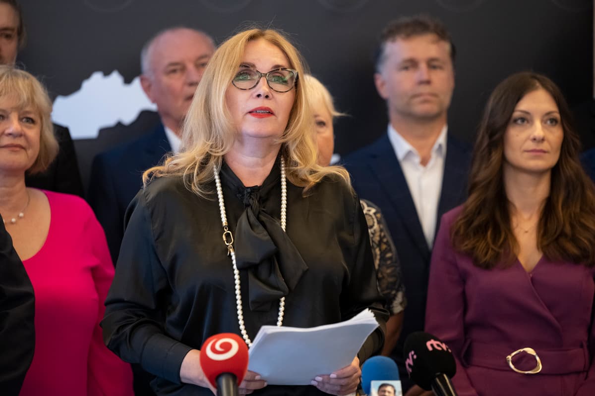 Na snímke predsedníčka Pirátskej strany - Slovensko Zuzana Šubová. FOTO:TASR/Pavel Neubauer