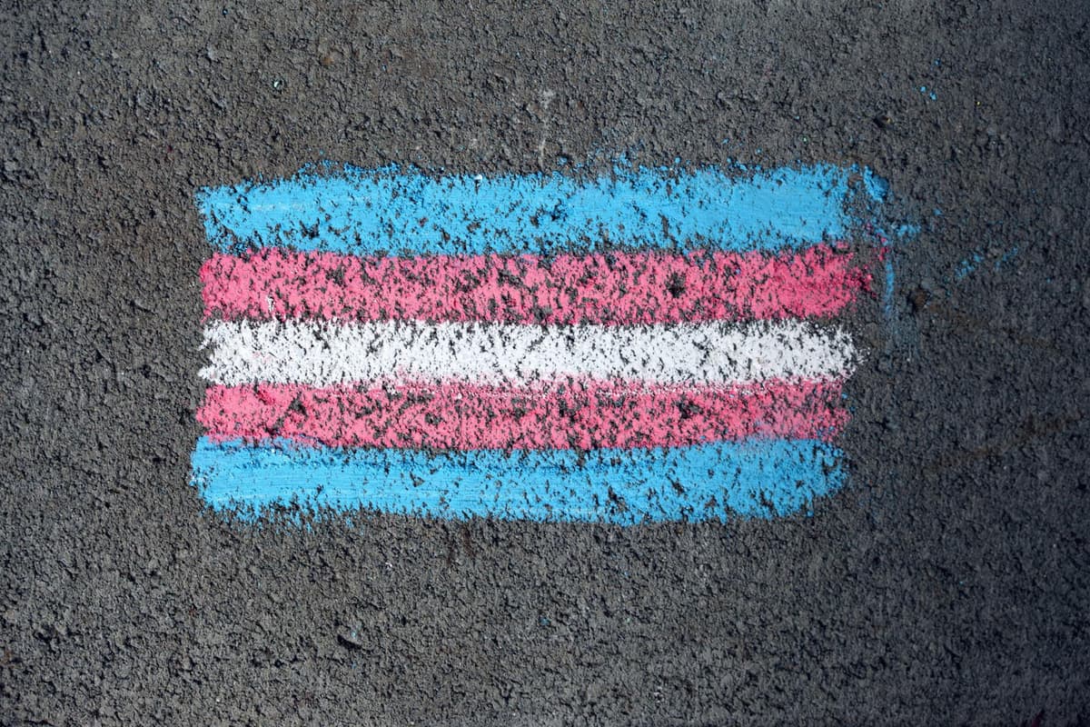Transgender vlajka - ilustračný záber. Foto Pexels.som