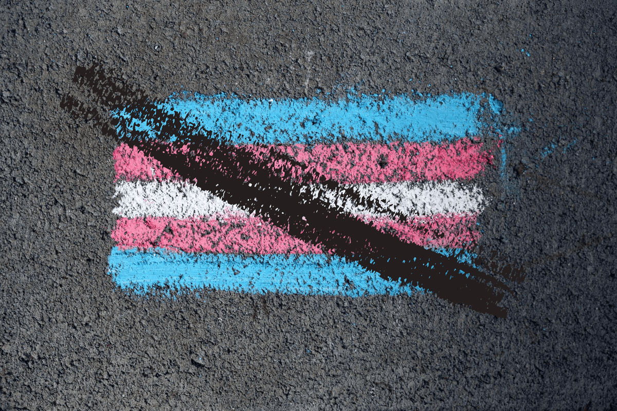 Prečiarknutá trans vlajka - ilustračný záber. Grafika Pexels.com/Marker