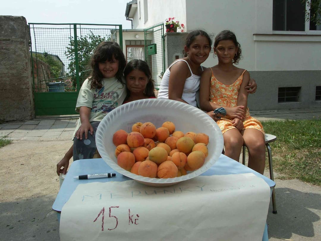 Ilustračné foto: Miroslav Homola / CNC / Profimedia