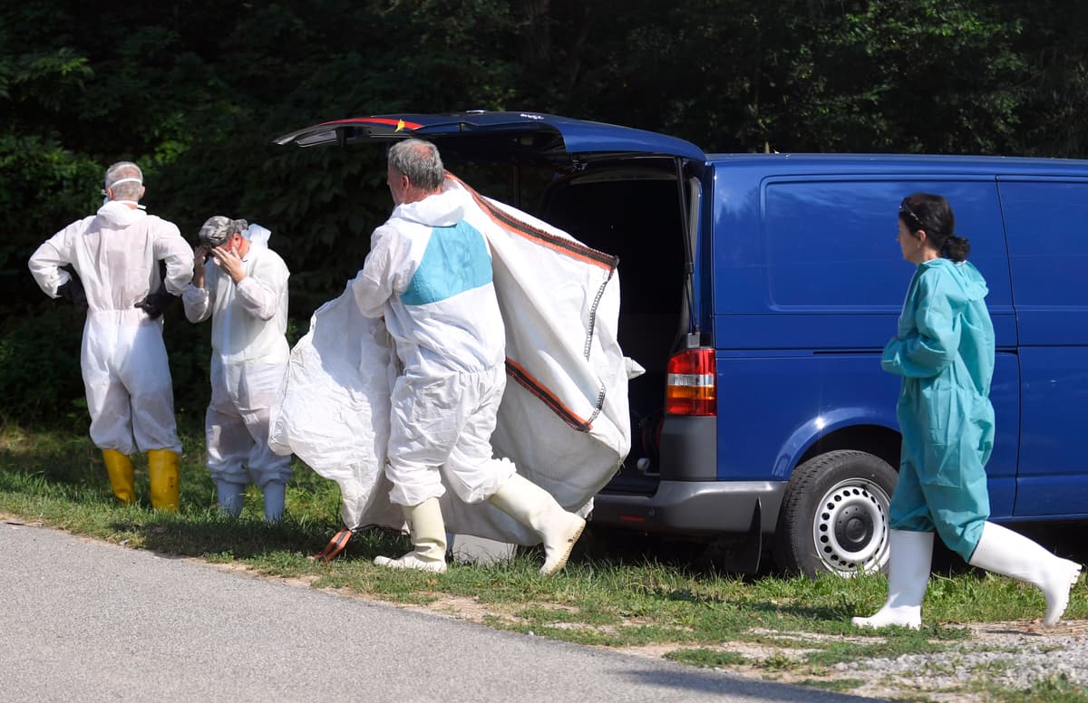 Ilustračná fotka. Foto:TASR/František Iván