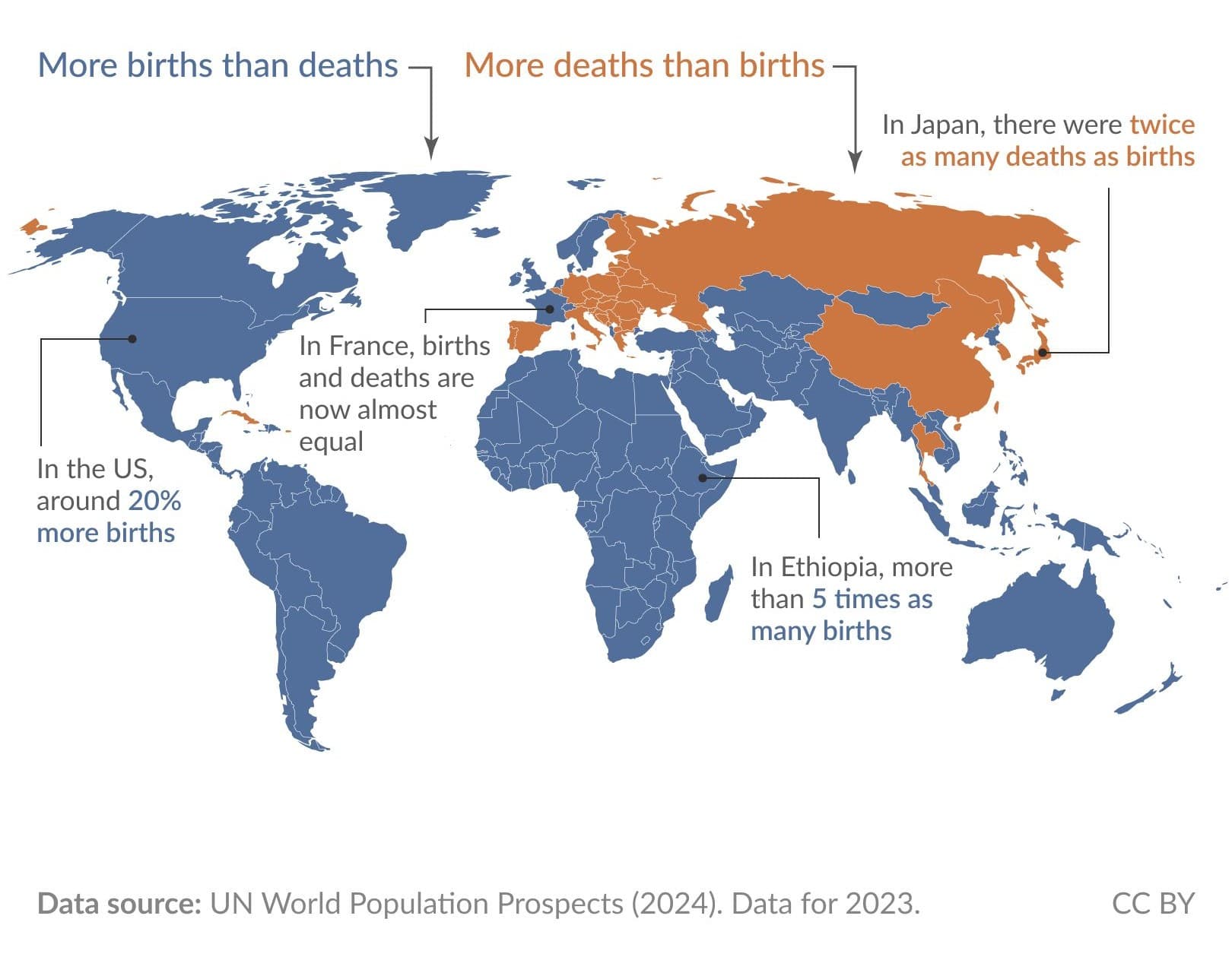 Foto: MoreBirths/X
