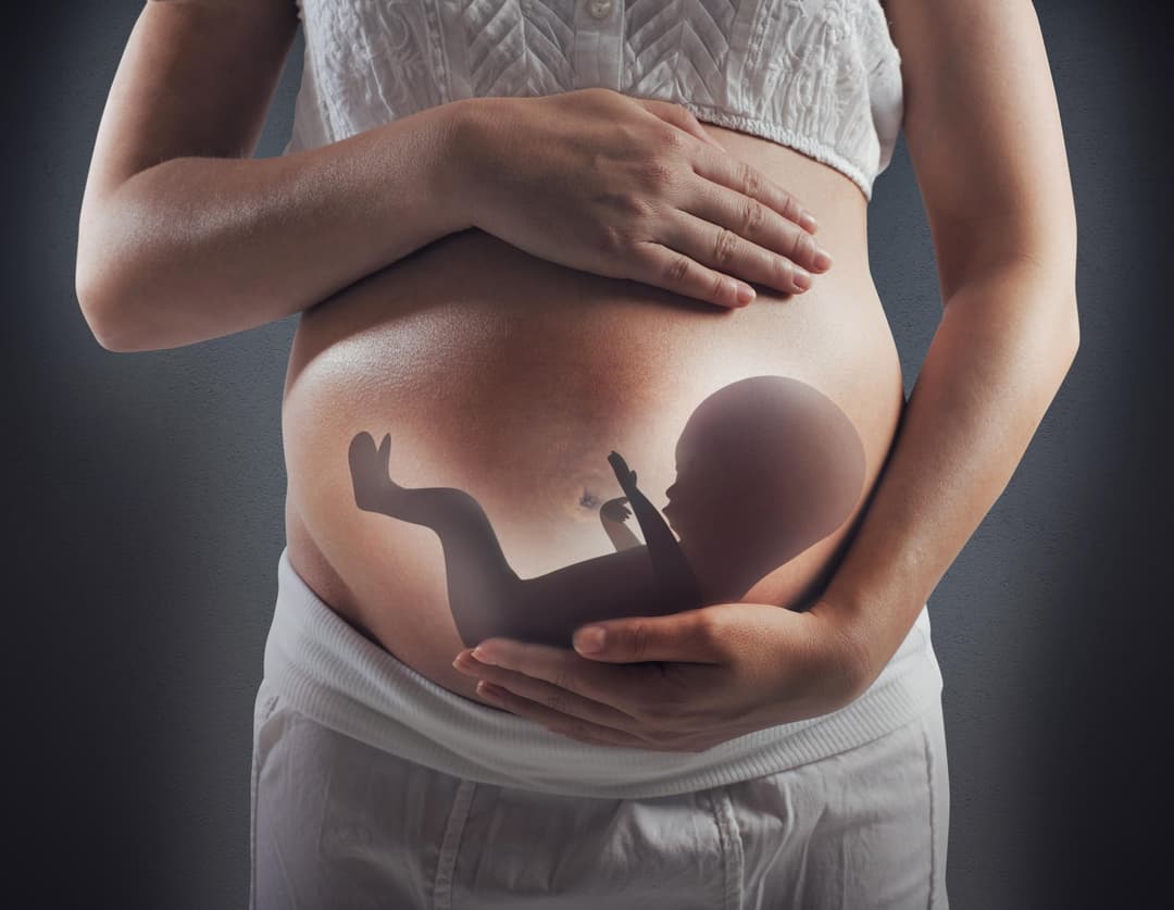Ilustračná fotografia. Foto: Federico Caputo / Alamy / Profimedia