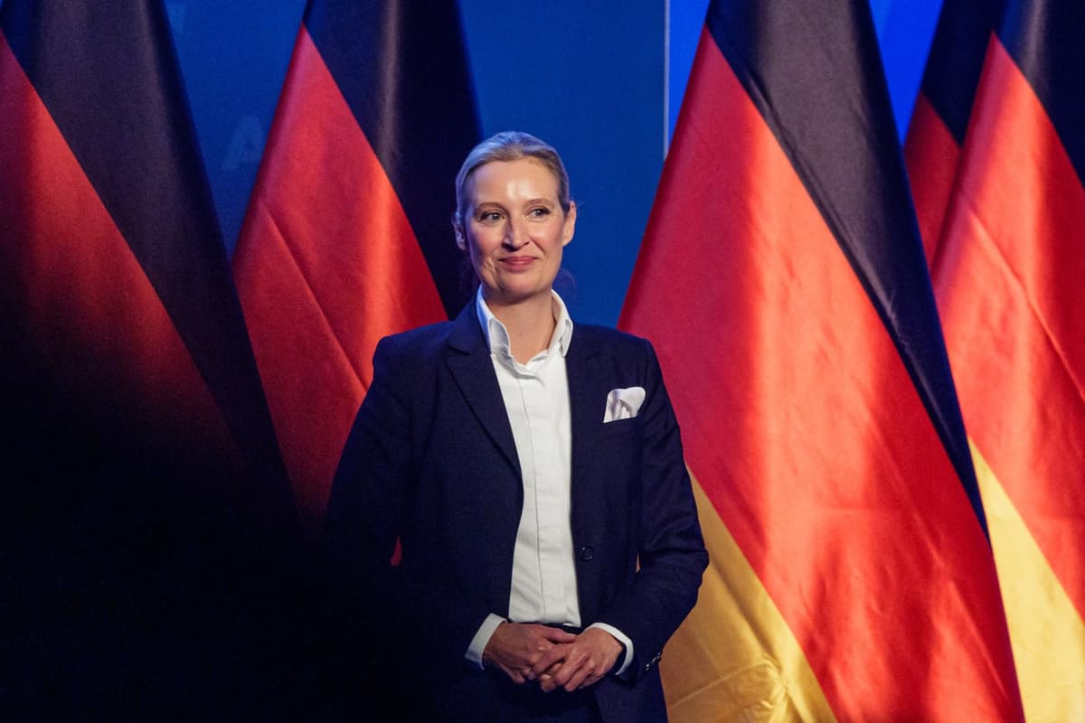 Spolupredsedníčka AfD Alice Weidelová s nemeckými vlajkami v pozadí, ilustračný obrázok. Foto: AFP / Profimedia