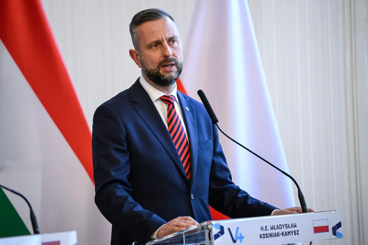 Wladyslaw Kosiniak-Kamysz. Foto: BOGLARKA BODNAR / EPA / Profimedia