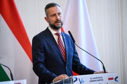 Wladyslaw Kosiniak-Kamysz. Foto: BOGLARKA BODNAR / EPA / Profimedia