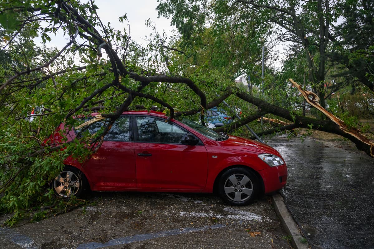 Popadané stromy po extrémne silnej búrke v Bratislave. Foto: TASR/Jaroslav Novák