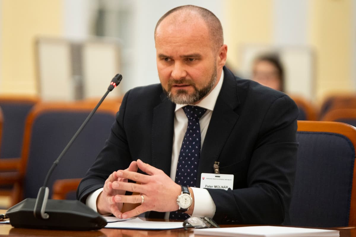 Ústavný sudca Peter Molnár. Foto: TASR/Jakub Kotian