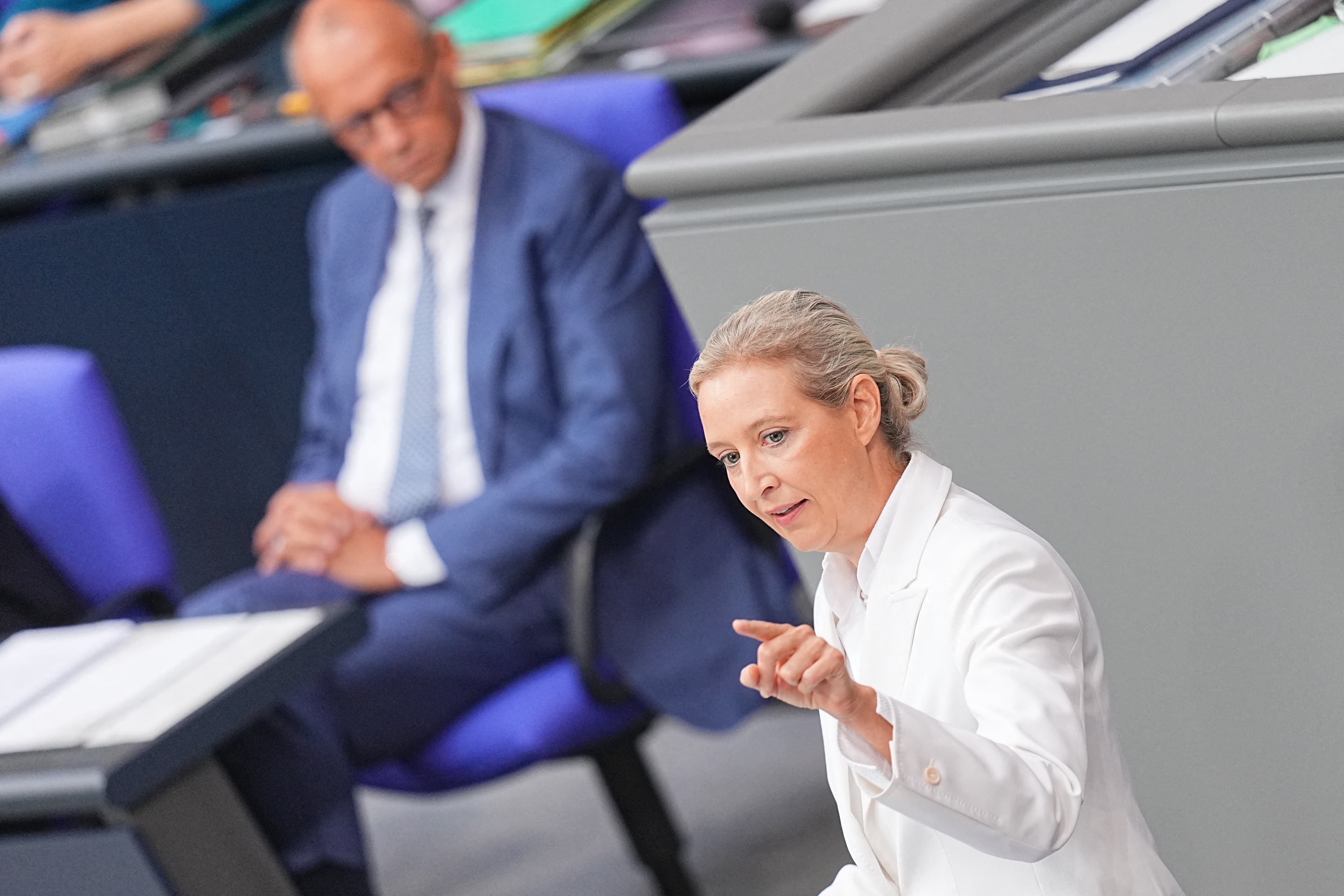 Alice Weidelová a Friedrich Merz. Foto: TASR/AP