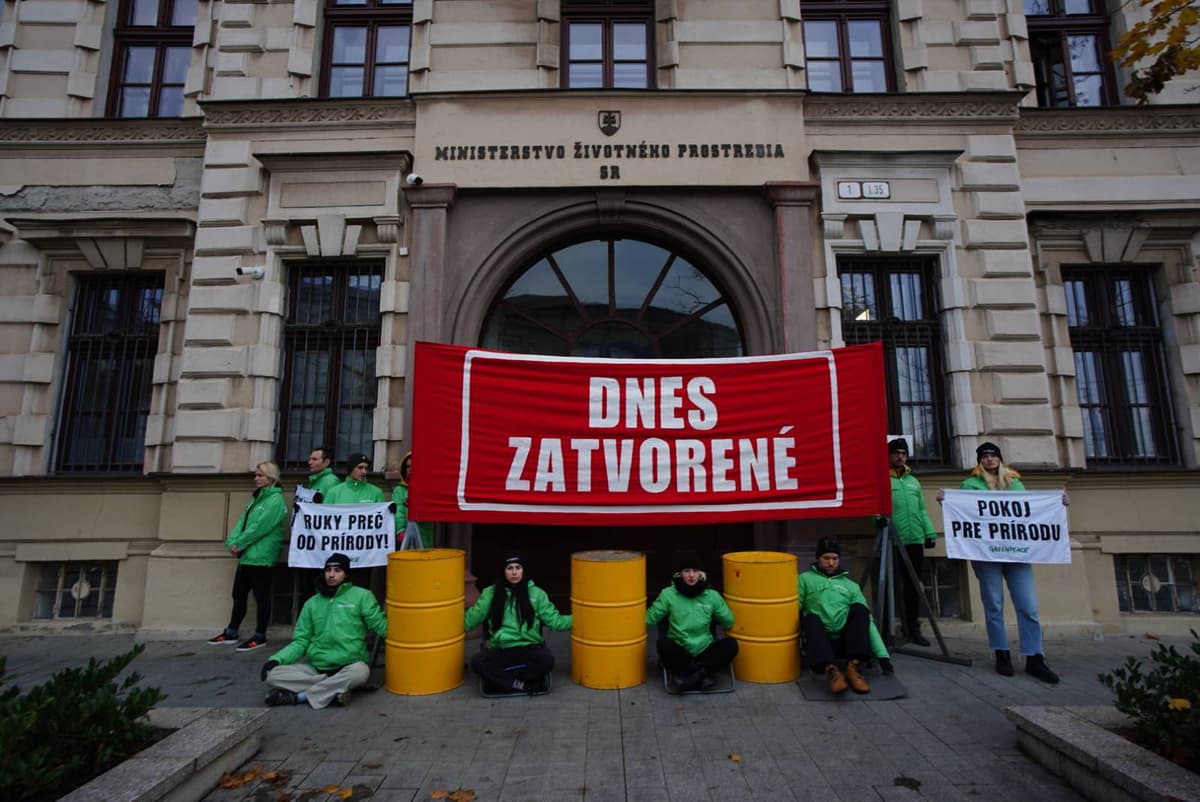 Protest aktivistov pred Ministerstvom životného prostredia SR. FOTO: FB My sme les