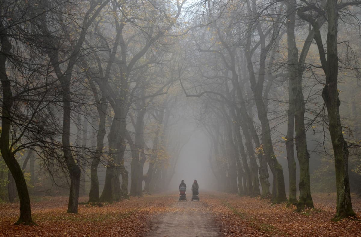 Ilustračná fotografia. Foto: Michal Cizek / AFP / AFP / Profimedia