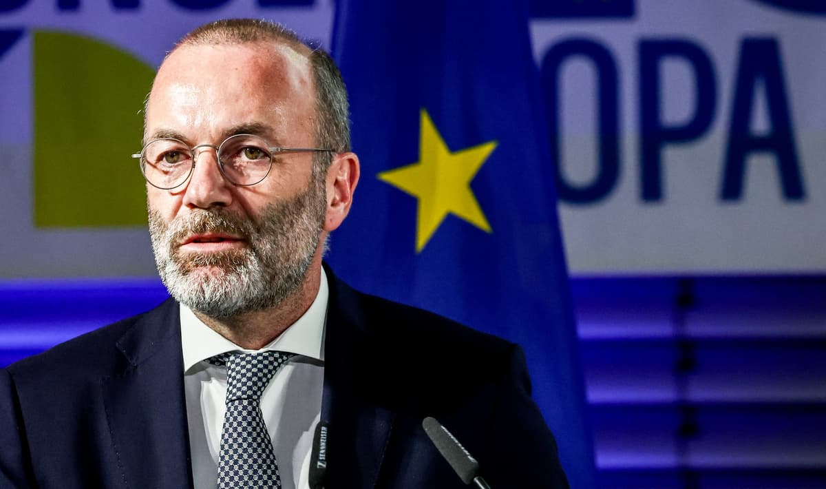 Manfred Weber. Foto FILIP SINGER / EPA / Profimedia