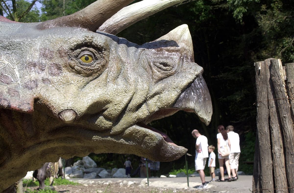 Bratislavský DinoPark. Foto:TASR/Dano Veselský