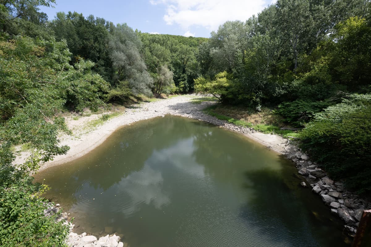 Koryto Karloveského ramena, ktoré je jedným z ramien Dunaja počas sucha v Bratislave. Foto: Pavel Neubauer/TASR