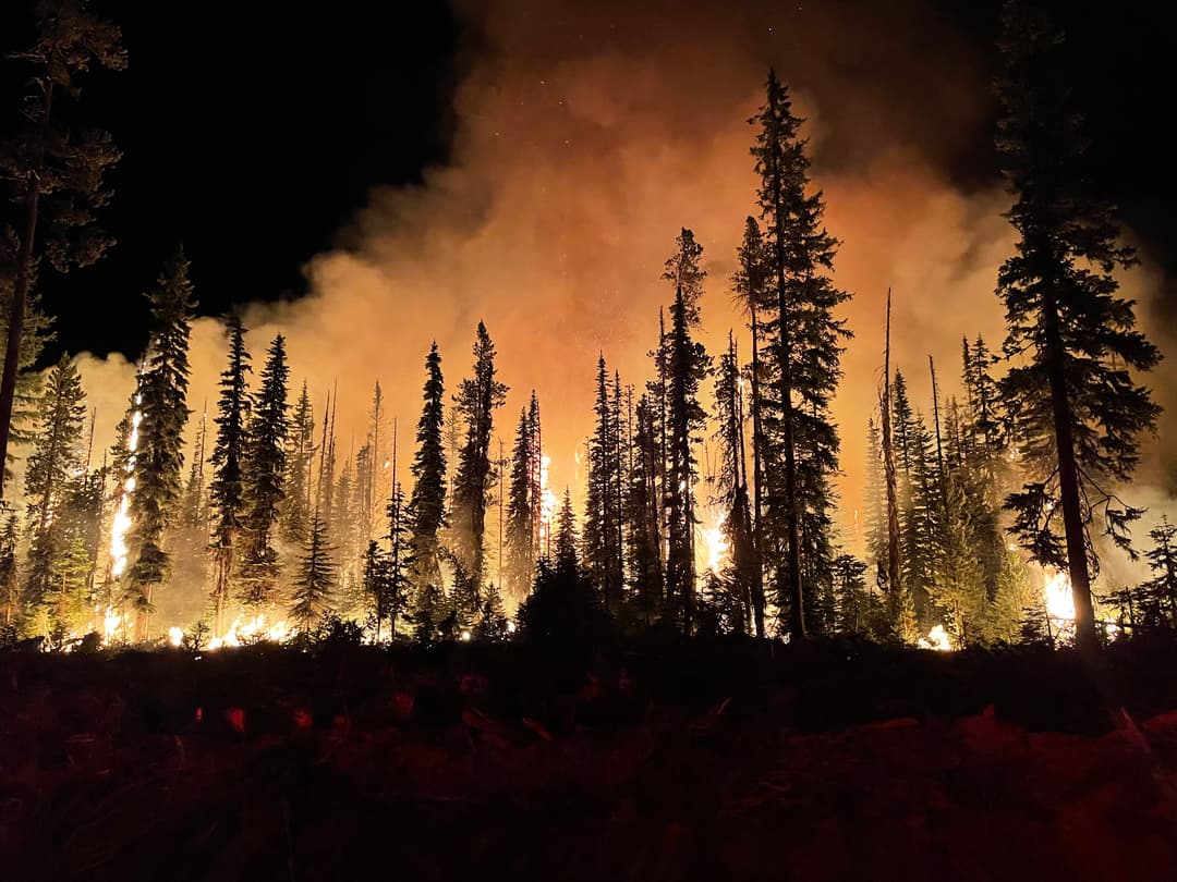 Lesný požiar. Ilustračná fotografia. Foto: U.S. Forest Service, Public Domain