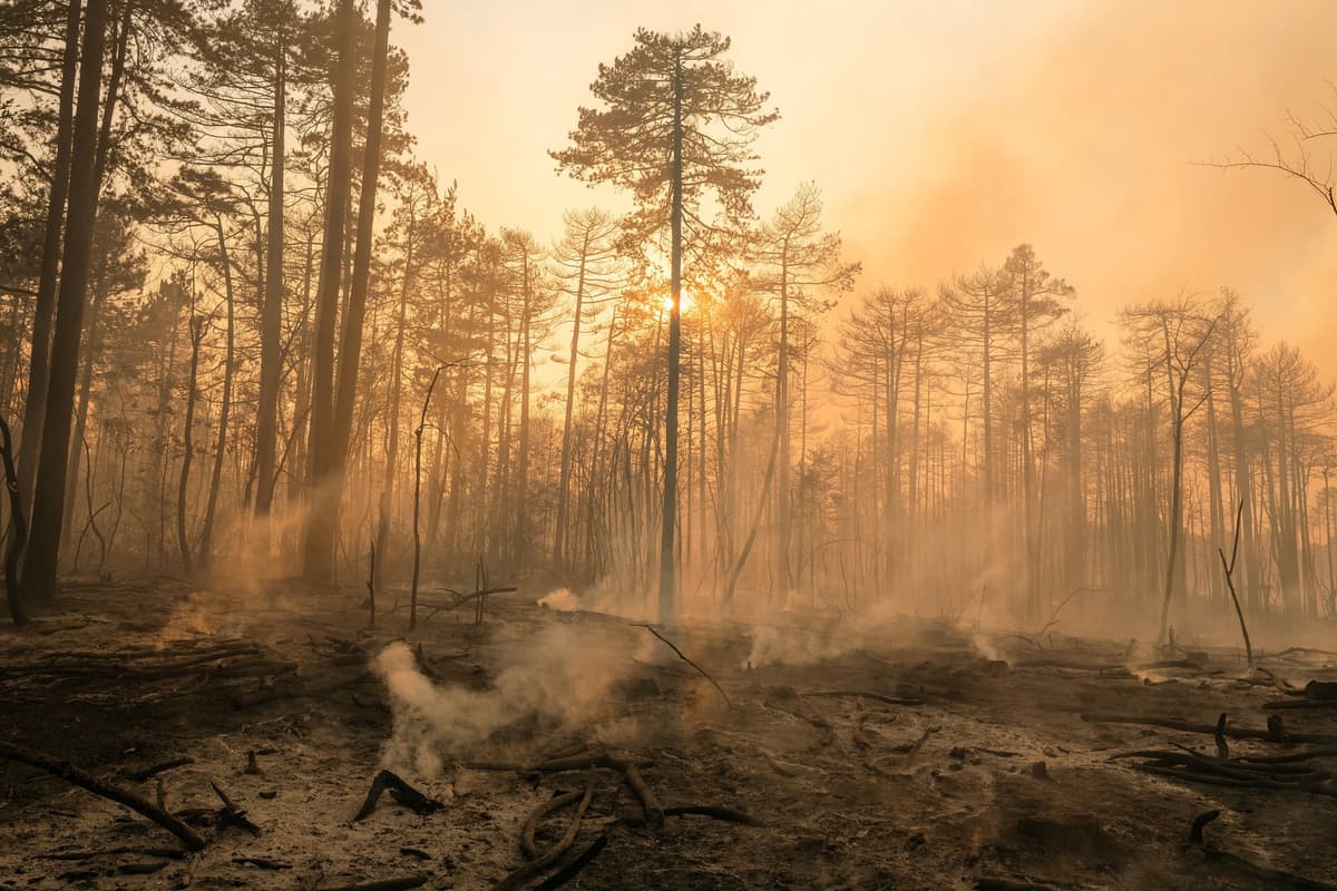 Požiar v srbskej prírodnej rezervácii Deliblatska peščara. Foto Uros Arsic / AFP / AFP / Profimedia